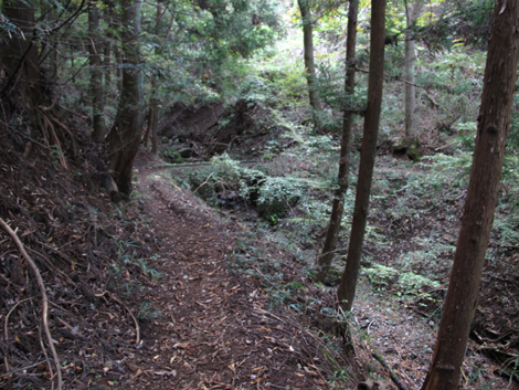 20151014hike (349)